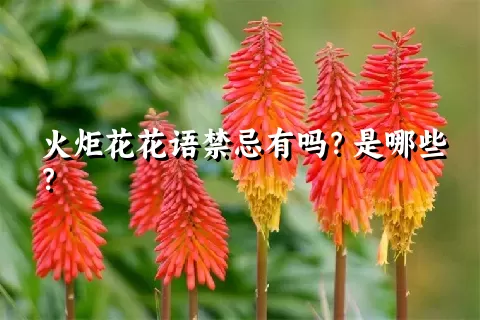 火炬花花语禁忌有吗？是哪些？