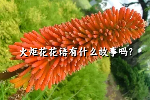 火炬花花语有什么故事吗？