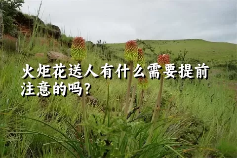 火炬花送人有什么需要提前注意的吗？