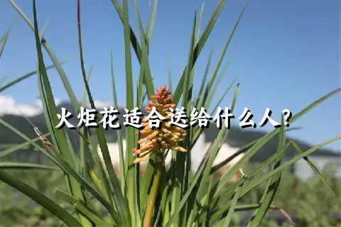 火炬花适合送给什么人？