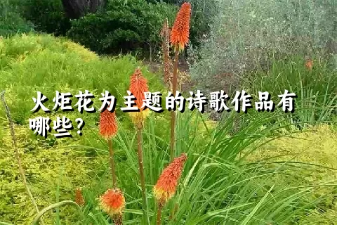 火炬花为主题的诗歌作品有哪些？