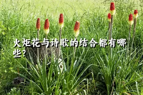 火炬花与诗歌的结合都有哪些？