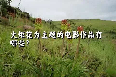 火炬花为主题的电影作品有哪些？