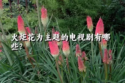 火炬花为主题的电视剧有哪些？