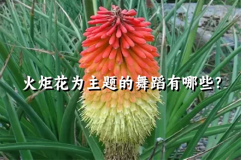 火炬花为主题的舞蹈有哪些？