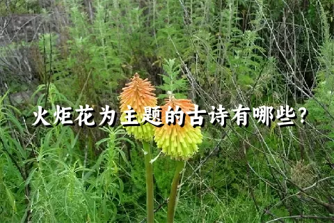 火炬花为主题的古诗有哪些？