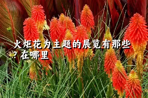 火炬花为主题的展览有那些？在哪里