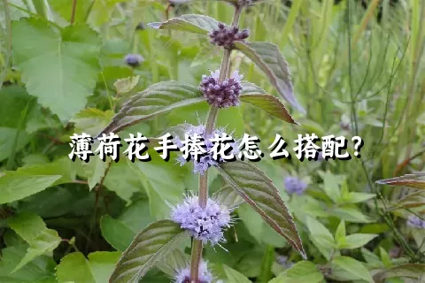 薄荷花手捧花怎么搭配？