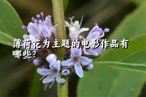 薄荷花为主题的电影作品有哪些？