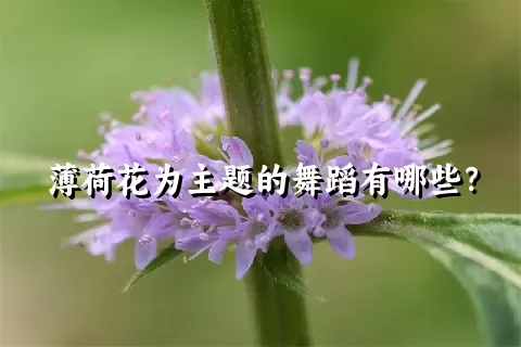 薄荷花为主题的舞蹈有哪些？