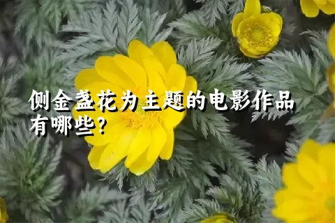 侧金盏花为主题的电影作品有哪些？