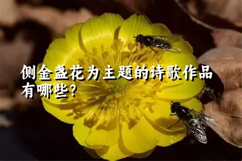 侧金盏花为主题的诗歌作品有哪些？