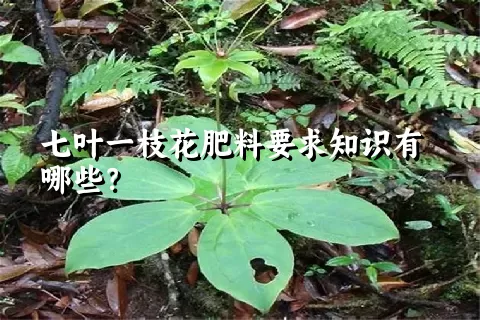 七叶一枝花肥料要求知识有哪些？