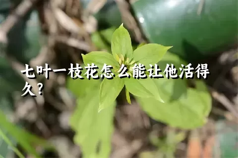 七叶一枝花怎么能让他活得久？