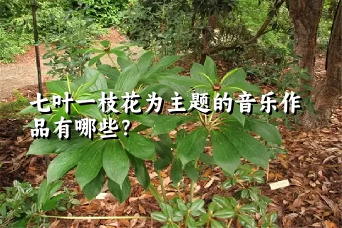 七叶一枝花为主题的音乐作品有哪些？