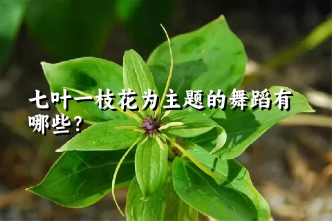 七叶一枝花为主题的舞蹈有哪些？