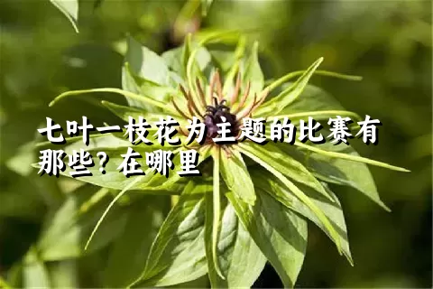 七叶一枝花为主题的比赛有那些？在哪里