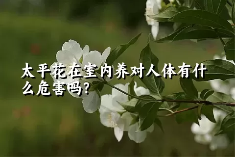 太平花在室内养对人体有什么危害吗？