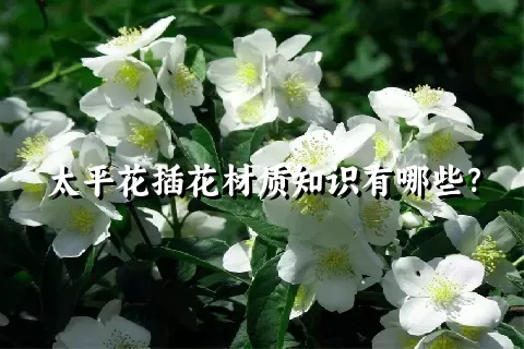 太平花插花材质知识有哪些？