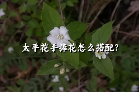 太平花手捧花怎么搭配？