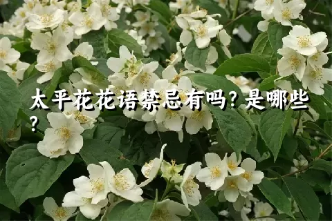 太平花花语禁忌有吗？是哪些？