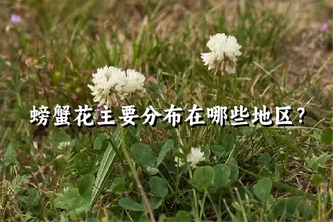 螃蟹花主要分布在哪些地区？