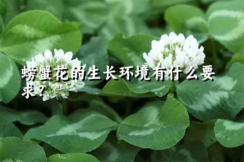 螃蟹花的生长环境有什么要求？