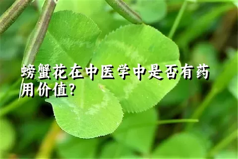 螃蟹花在中医学中是否有药用价值？