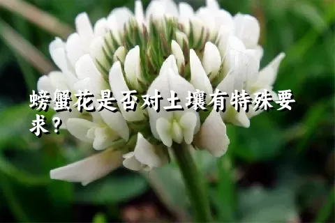 螃蟹花是否对土壤有特殊要求？