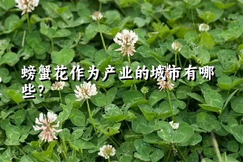 螃蟹花作为产业的城市有哪些？