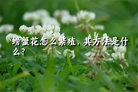 螃蟹花怎么繁殖，其方法是什么？