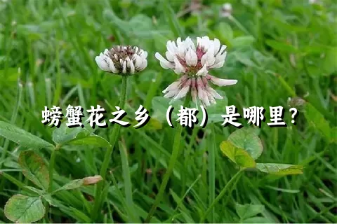 螃蟹花之乡（都）是哪里？