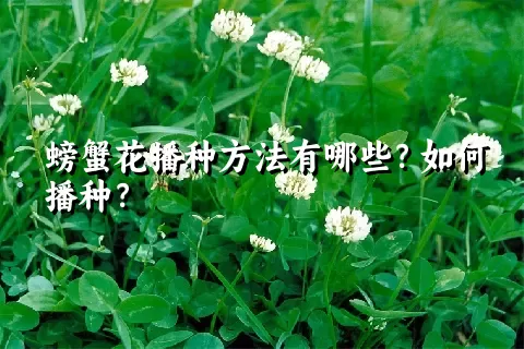 螃蟹花播种方法有哪些？如何播种？