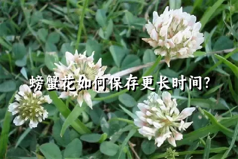 螃蟹花如何保存更长时间？