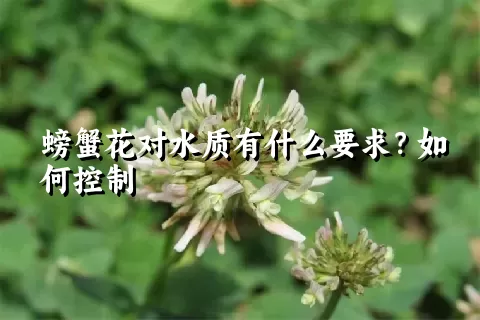 螃蟹花对水质有什么要求？如何控制