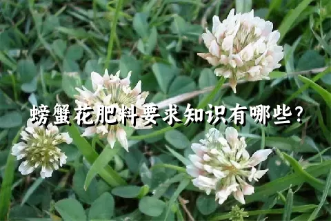 螃蟹花肥料要求知识有哪些？