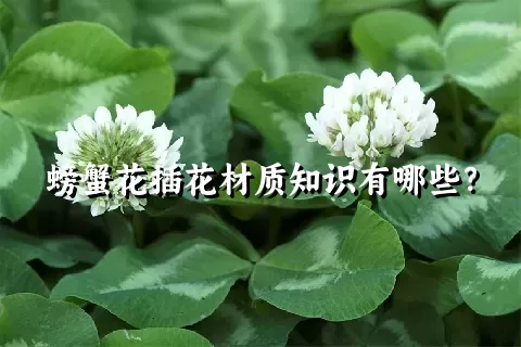 螃蟹花插花材质知识有哪些？