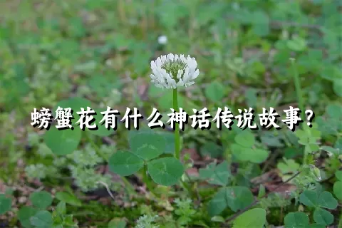 螃蟹花有什么神话传说故事？