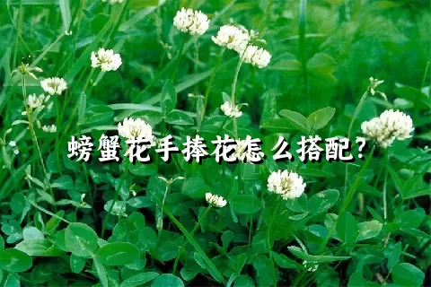 螃蟹花手捧花怎么搭配？