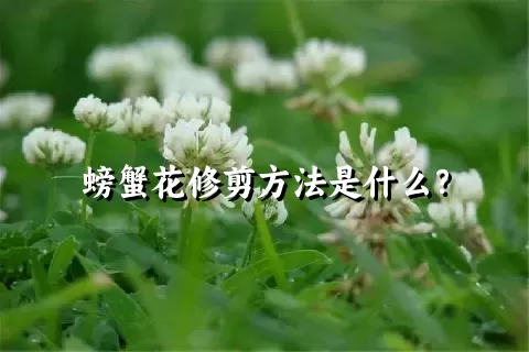 螃蟹花修剪方法是什么？