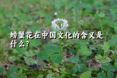 螃蟹花在中国文化的含义是什么？