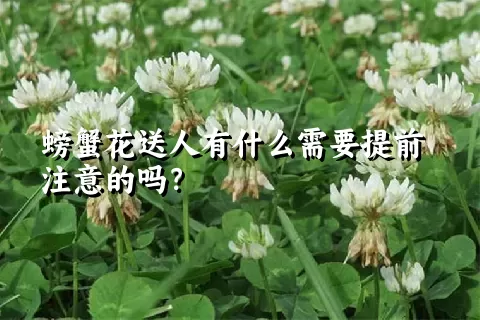 螃蟹花送人有什么需要提前注意的吗？