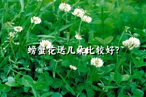 螃蟹花送几朵比较好？