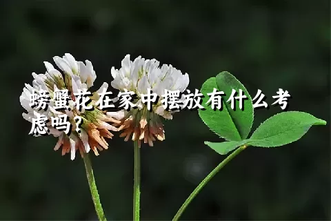 螃蟹花在家中摆放有什么考虑吗？