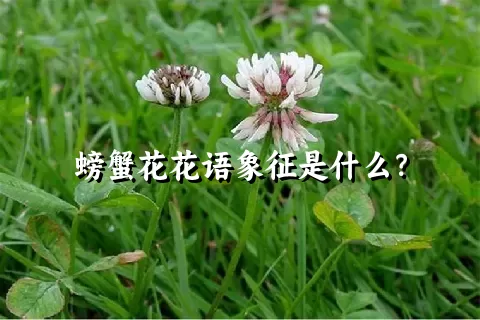 螃蟹花花语象征是什么？