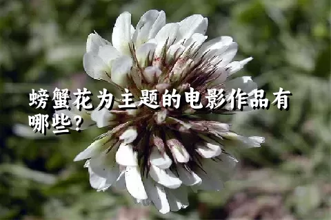 螃蟹花为主题的电影作品有哪些？