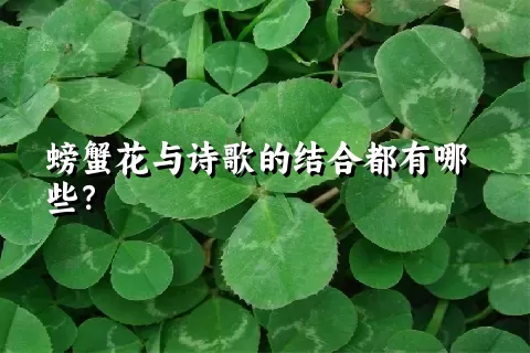 螃蟹花与诗歌的结合都有哪些？