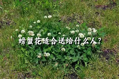 螃蟹花适合送给什么人？