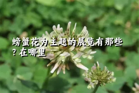 螃蟹花为主题的展览有那些？在哪里