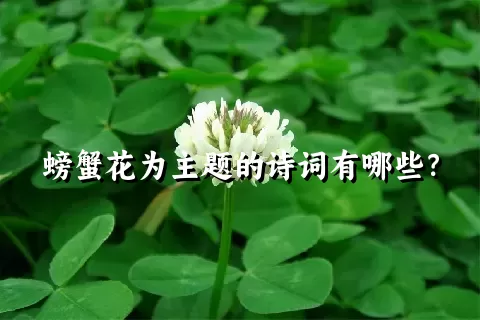 螃蟹花为主题的诗词有哪些？